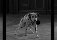 BCP-Wally01.jpg