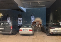 kvost_11.JPG