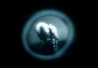 Image3.jpg