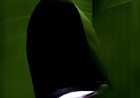 IMG_9868.jpg