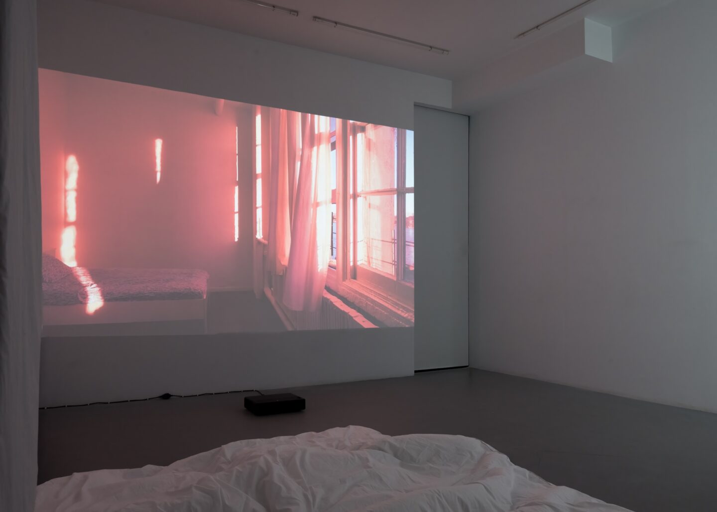 Fot: Marek Świtek / Magazyn Szum